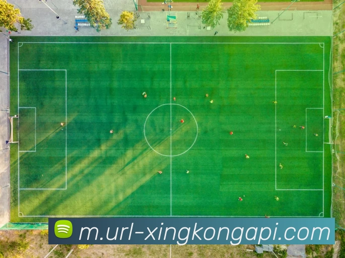 AI Risk Control